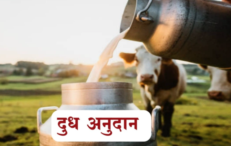 dudh anudan yojana Maharashtra