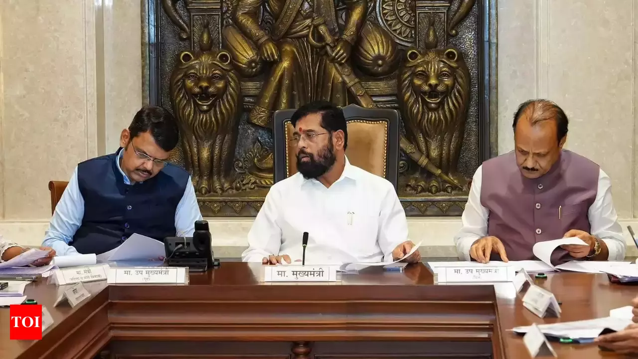 Ladki Bahin Yojana Stay Petition