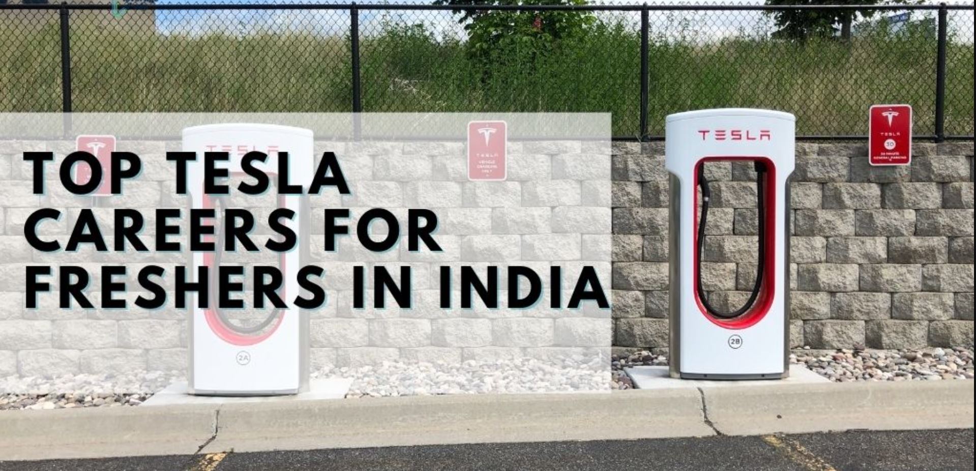 TELSA Jobs In India Mumbai